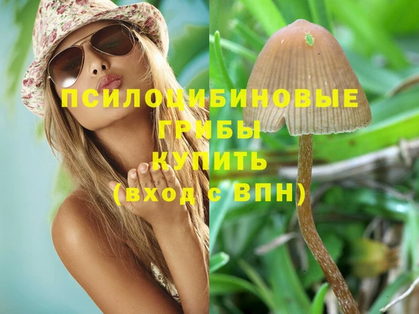 дживик Навашино